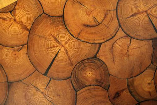 艺术拼花美学地板——木年轮